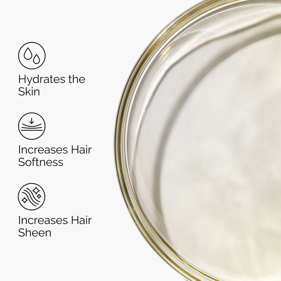 100-organic-cold-pressed-moroccan-argan-oil-n8 FY25-D41247-ORD-Web-PDP-100-Argan-Oil-1x1-EN-3.jpg