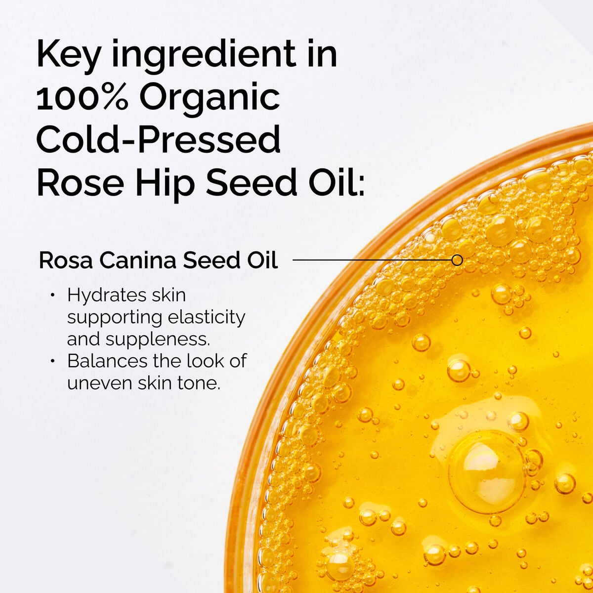 100-organic-cold-pressed-rose-hip-seed-oil-f8 FY25-D41247-ORD-Web-PDP-100-Rose-Hip-Oil-1x1-EN-2.jpg