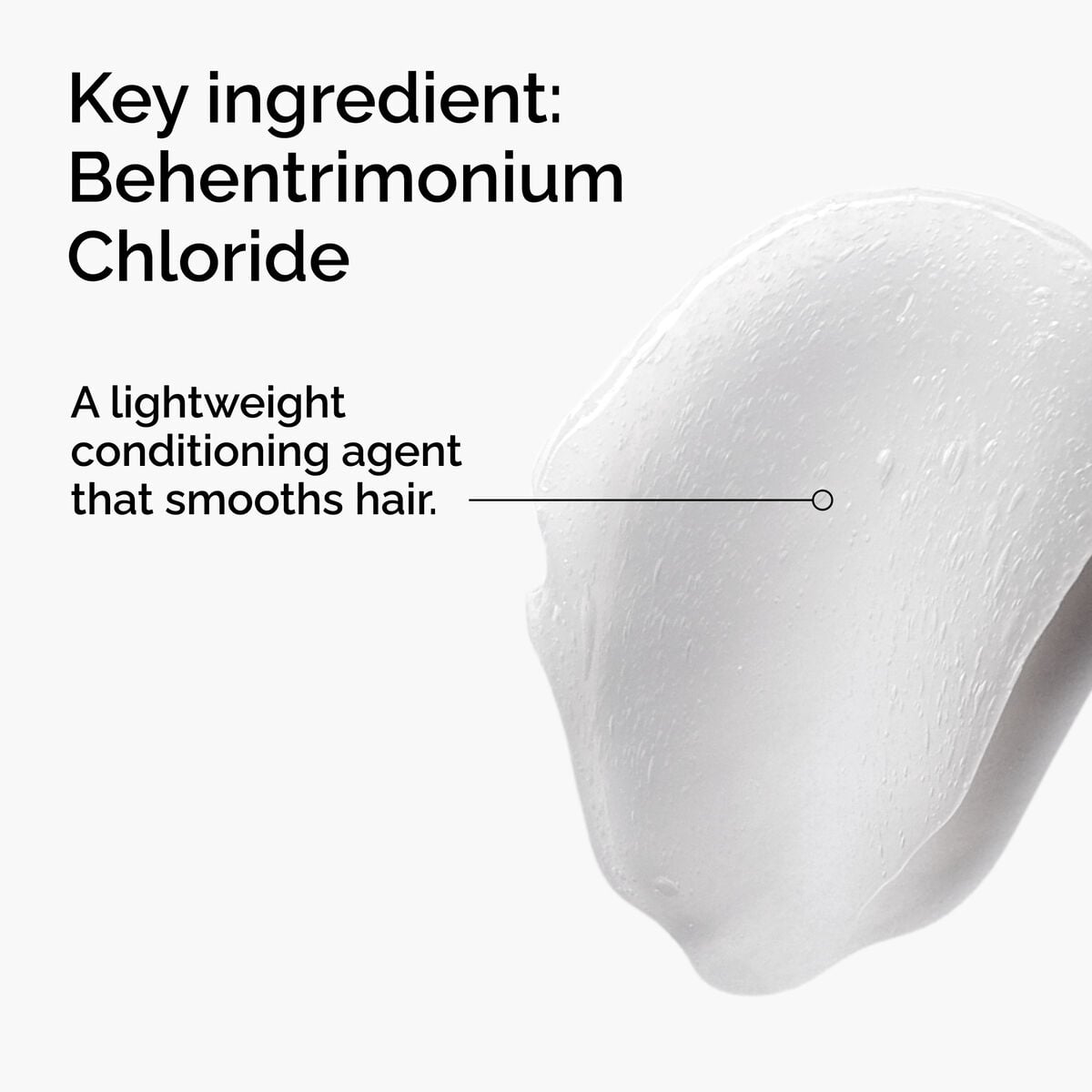 behentrimonium-chloride-2-conditioner-y6 FY25-D41247-ORD-Web-PDP-BTC-1x1-EN-2a.jpg