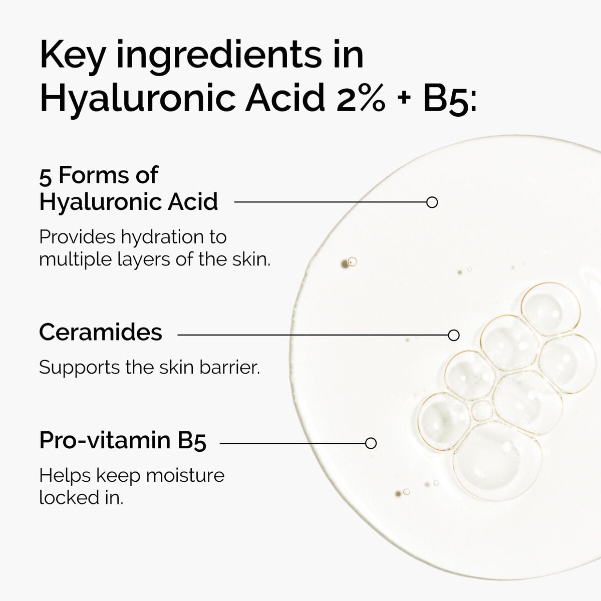 hyaluronic-acid-2-b5-with-ceramides-x1 ord-hyaluronic-acid-2pct-b5-hydrating-serum-ingredients-graphic.jpg