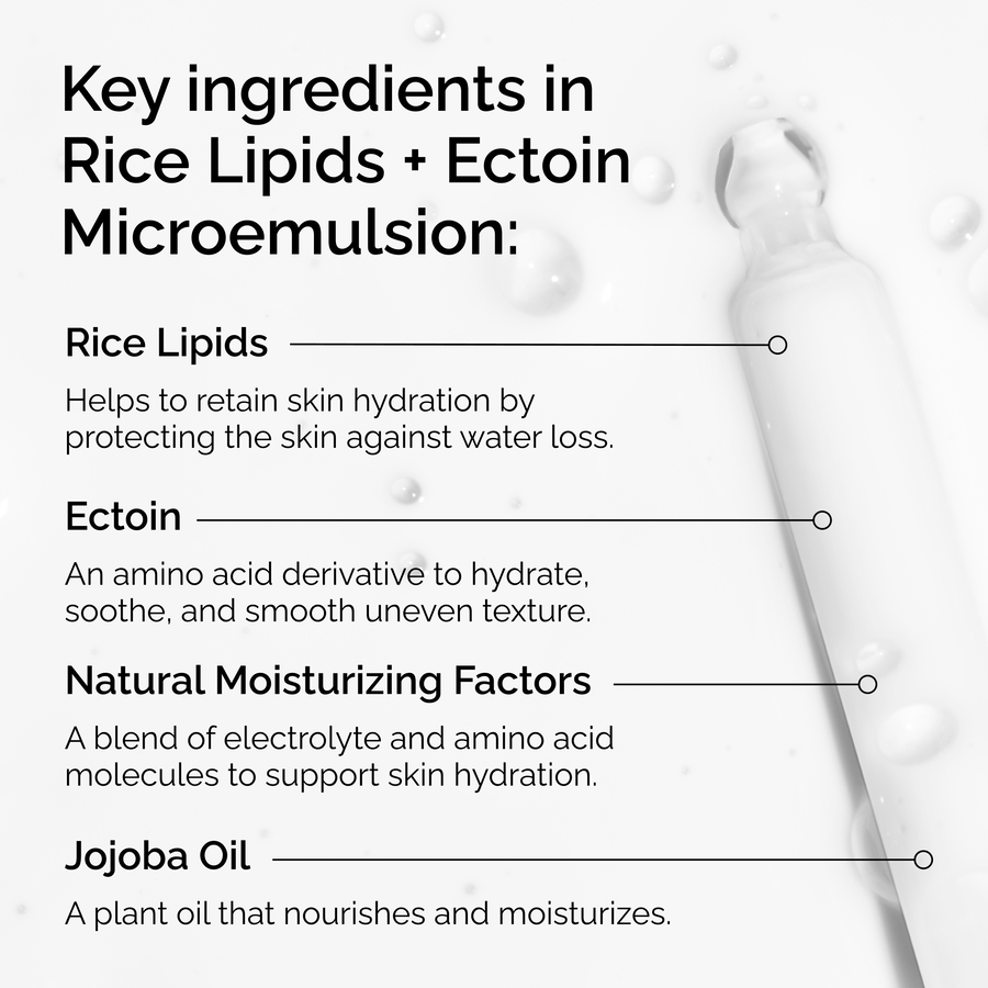 rice-lipids-ectoin-microemulsion-e6 ord-rice-lipids-ectoin-microemulsion-key-ingredients.png